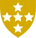 Southern Command Royal Army Service Corps (first pattern) (Yellow with white stars)