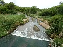 The Soutpanspruit, seen here at Tswaing, is a left bank tributary