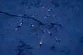 The Soyuz TMA-02M landing site from above