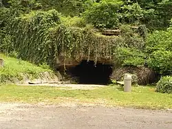 Entrance to cave with many plants and vines growing around it