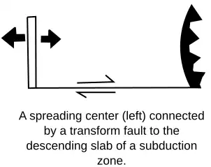 Spreading to Down NEW