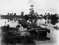 Makeshift bridge of railway wagons during the 1890 flood between Milton and Auchenflower to allow passengers to reach the city. This photograph was taken in the vicinity of Eagle Terrace looking towards Park Road. (Description supplied with photograph.)