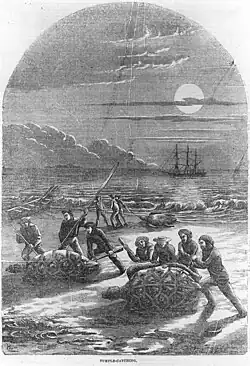 Historic engraving of men catching turtles on a beach