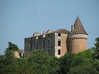 Chateau of Longas