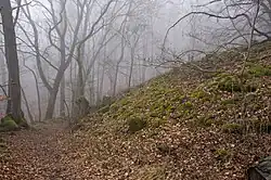 Rampart remains around the settled area of the Steinsburg