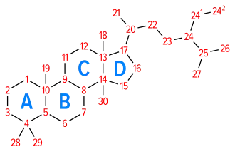 Numbering of the steroid nuclei