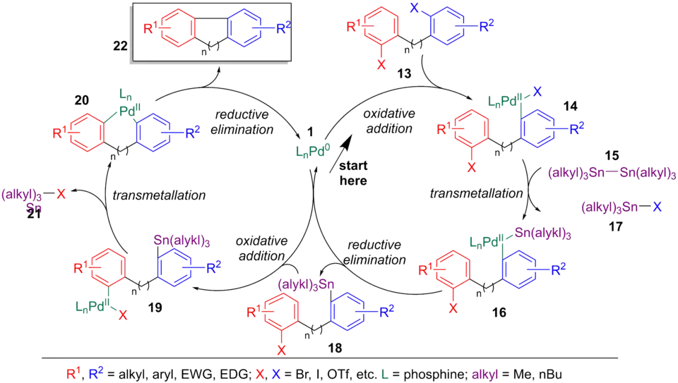 Catalytic cycle of the Stille-Kelly reaction
