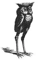 Stolas as illustrated by Louis Le Breton in Dictionnaire Infernal.