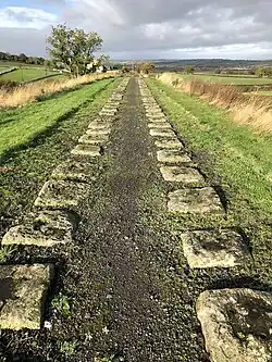 Stone blocks laid in parallel lines in an embankment leading off into the distance