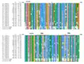 TMEM19 Strict Orthologs (Vertebrates) Multiple Sequence Alignment. Sequences were aligned using ClustalO,[24] transmembrane regions and exons were boxed. Consensus of amino acids are shown at 100% and 90%. Amino acids are colored based on their physicochemical properties.