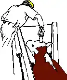 Stunning a cow with a captive bolt