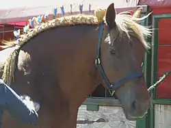 Mane roll with rosettes