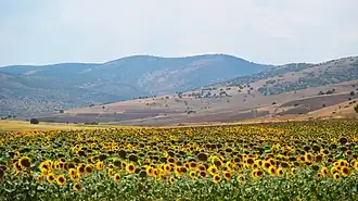 Karacaören countryside, Boztepe