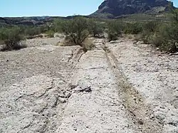 Wagon Wheel Tracks with the Picket Post Mountain in the background