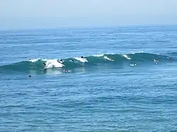 Surfers off of Huntington Beach