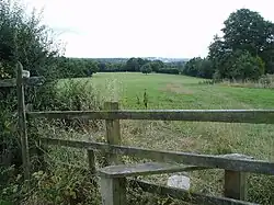 Near Crawley Down