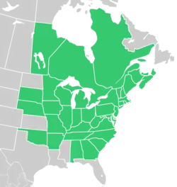 Symphyotrichum cordifolium distribution map: Canada — Manitoba, New Brunswick, Nova Scotia, Ontario, Prince Edward Island, and Québec; US — Alabama, Arkansas, Connecticut, District of Columbia, Georgia, Illinois, Indiana, Iowa, Kentucky, Maine, Maryland, Massachusetts, Michigan, Minnesota, Missouri, Nebraska, New Hampshire, New Jersey, New York, North Carolina, Ohio, Oklahoma, Pennsylvania, Rhode Island, South Carolina, South Dakota, Tennessee, Vermont, Virginia, West Virginia, and Wisconsin.