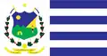 Flag of Taquaritinga do Norte