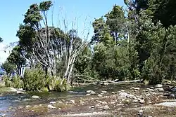 Te Anau Caves Region