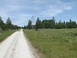 A road cuts through a field of grass