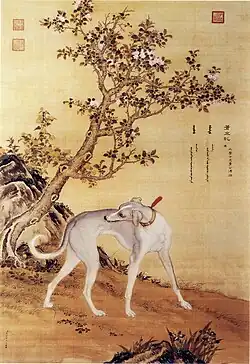 Cangshuiqiu (苍水虬), Chinese greyhound, from 十骏犬图 Ten Prized Dogs Album