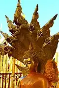 At Wat Phra That Doi Suthep, Chiang Mai province