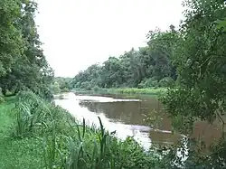 River Boyne upstream from Slane