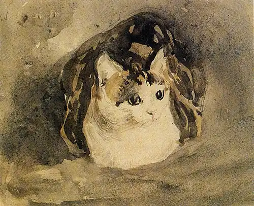 Cat, c. 1904–1908