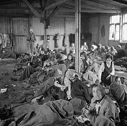 Women suffering from Typhus at Bergen-Belsen concentration camp, shortly after liberation. Unhygenic, crowded conditions allowed the disease to run rampant.