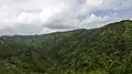 The Mambilla Plateau