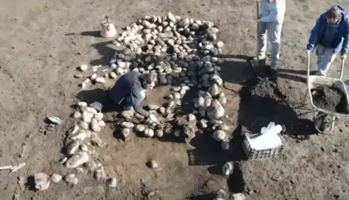 SAP archaeologists excavating at the Necropolis of Amorosi