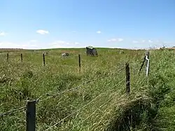 The overgrown site of the Millin Bay Cairn