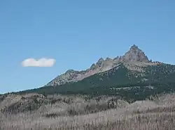 The volcano's bare, dissected edifice rises above a forested region