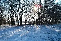 Thundersley Great Common