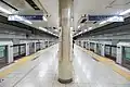 Tokyo Metro platforms