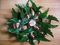 A Phoenix wing shaped- betel leaf plate in Vietnam.