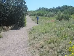 Hiking trail at Rock Park in Castle Rock