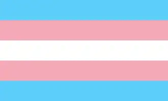 Five horizontal stripes equally sized colored with two light blue, two pink, and a white stripe in the center