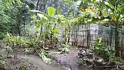 An unpaved area with a running creek and plants planted in pots and on the ground.