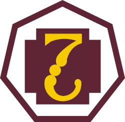 Shoulder Sleeve Insignia, 7th Medical Command
