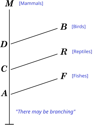 Diagram in Robert Chambers's 1844 Vestiges of the Natural History of Creation