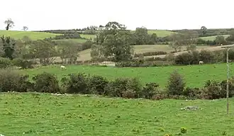 View eastwards across the valley floor towards the abandoned Railway Line (2011)