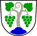 Coat of arms of Municipality of Vipava