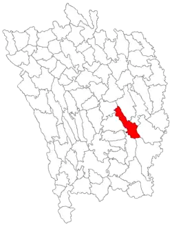 Location in Vaslui County