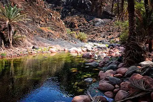A wadi in Socotra, Yemen