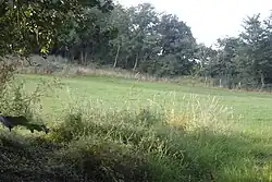 Part of the linear boundary known as the Wansdyke 375 m south east of Knowle Farm