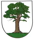 Coat of arms of Berga