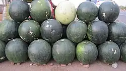 Watermelon for sale