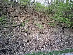 Westerville Limestone at a railroad cut, Cherryvale Formation, Lower Linn Subgroup, Kansas City Group, Missourian Series, Pennsylvanian System. Raytown, Missouri.