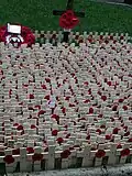 The Field of Remembrance outside Westminster Abbey